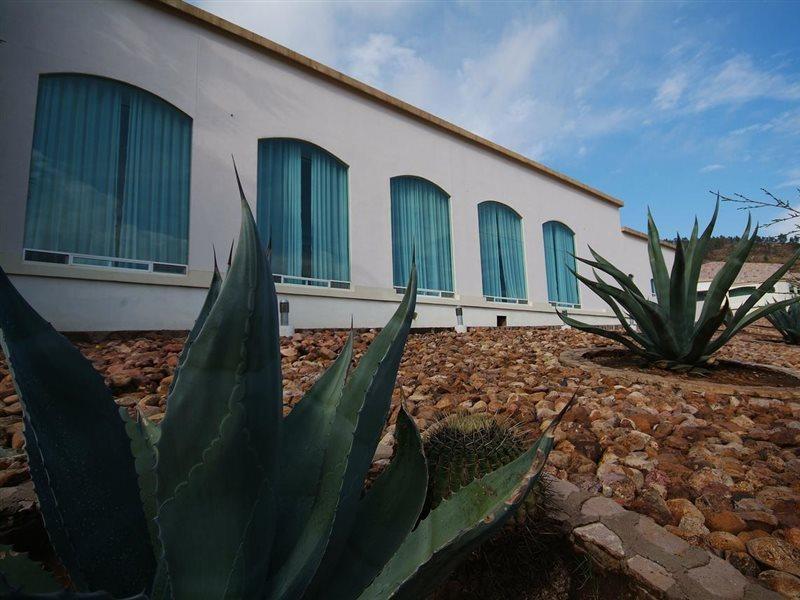 Hotel Baruk Teleferico Centro Historico Zacatecas Kültér fotó